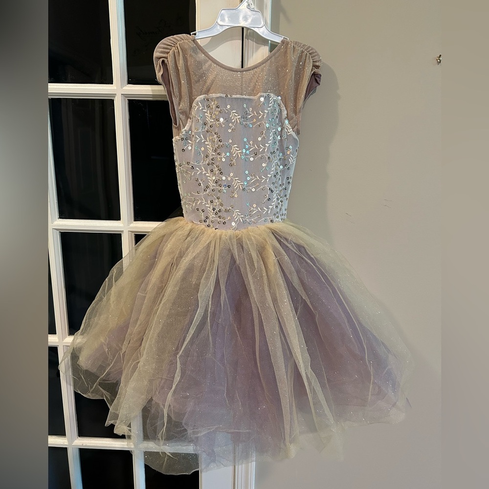 Weissman Dance Costume - image 2